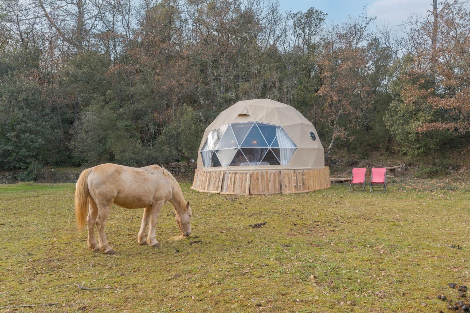 La Cabane Aux Chevaux Varages 外观 照片